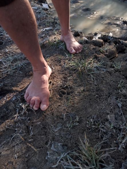 -4° pieds nus, gelée blanche et glace prise dans les flaques