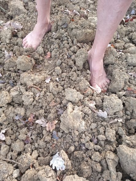 Une traversée pieds nus dans les labours